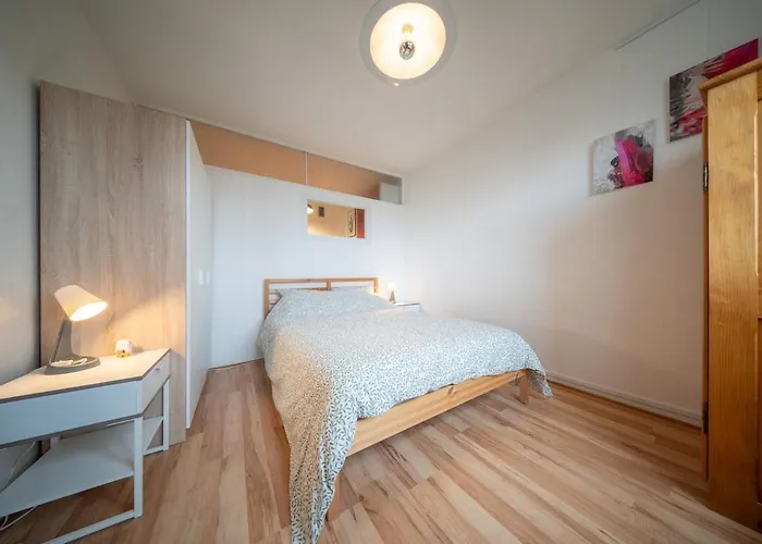 Appartement Magnifique Parking De La Marne Mulhouse